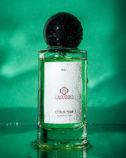 Citrus Peak | Unisex Perfume | EDP Casorro