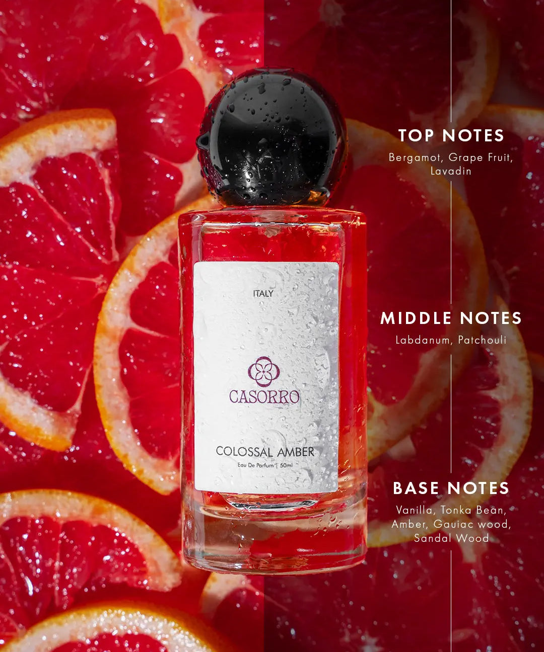 Colossal Amber | Perfume for Men | EDP Casorro