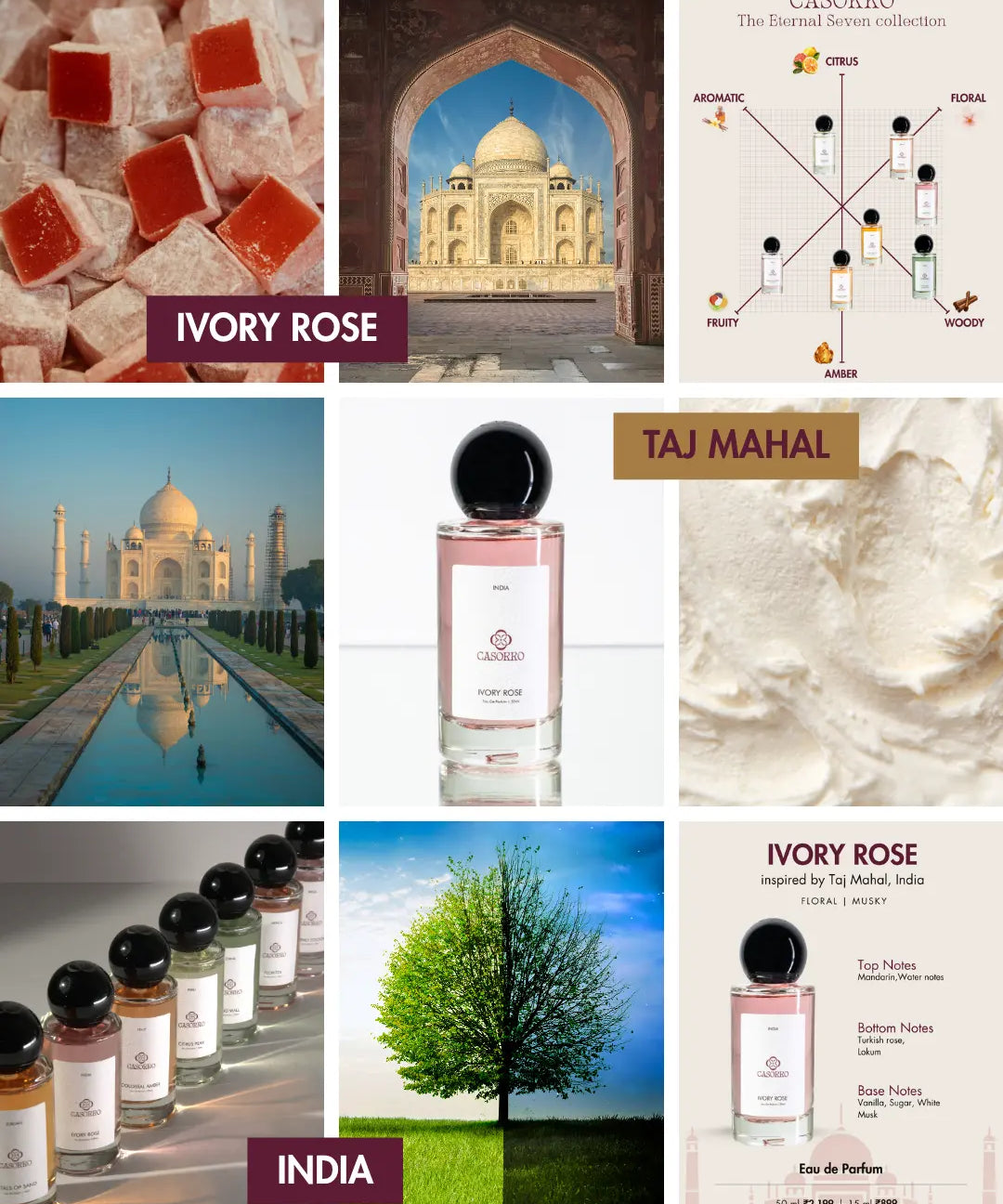 Ivory Rose | Unisex Perfume | EDP Casorro