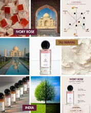 Ivory Rose | Unisex Perfume | EDP Casorro