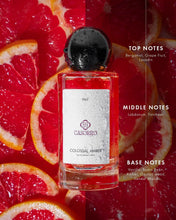 Colossal Amber | Perfume for Men | EDP Casorro