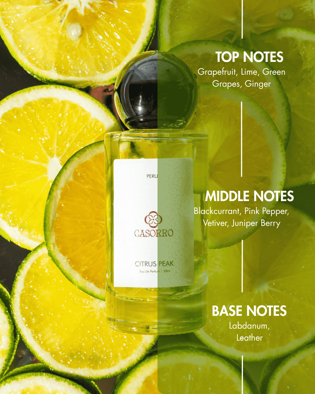 Bottle of Casorro Citrus Peak perfume surrounded by sliced citrus fruits with notes displayed.