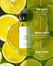 Bottle of Casorro Citrus Peak perfume surrounded by sliced citrus fruits with notes displayed.