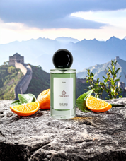 Oud Wall | Unisex Perfume | EDP